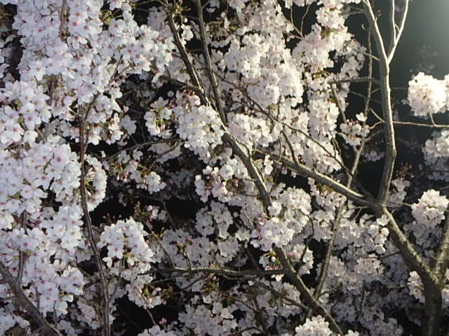 f0334143_1946897.jpg