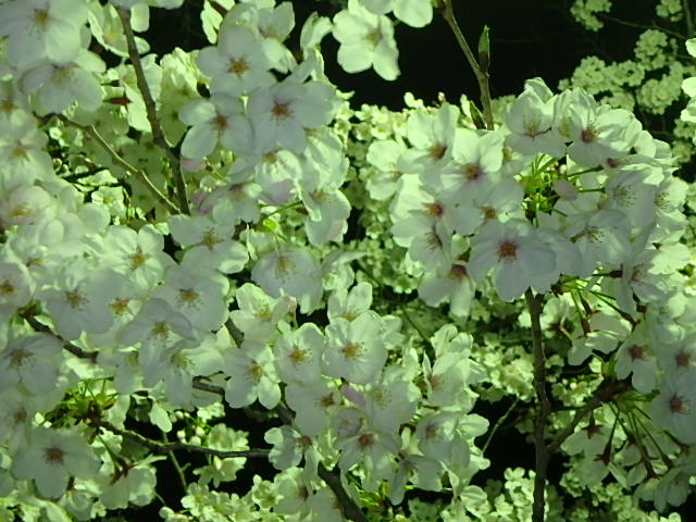 f0334143_19474862.jpg
