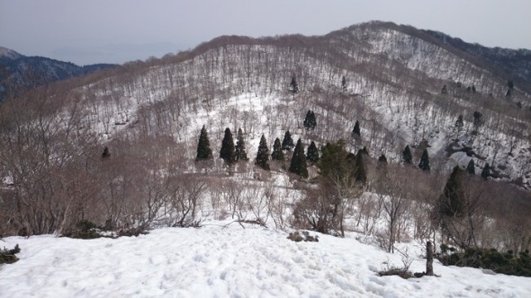 b0148050_21103458.jpg