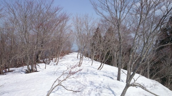 b0148050_2111898.jpg