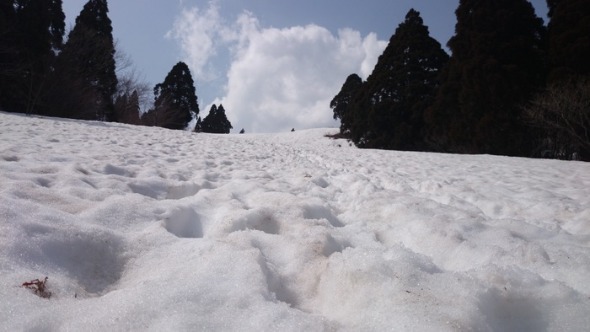 b0148050_2113537.jpg