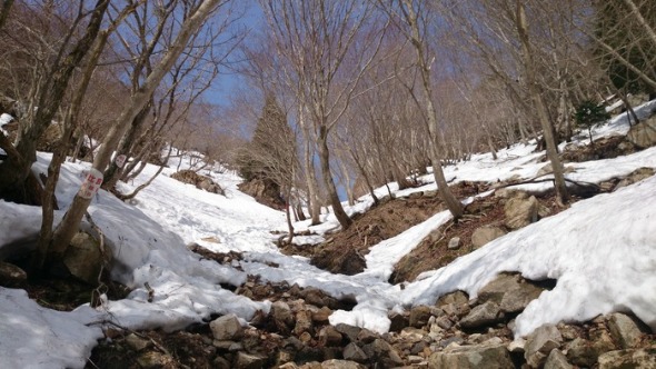 b0148050_2123541.jpg