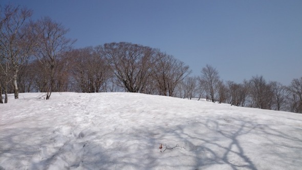 b0148050_2145657.jpg