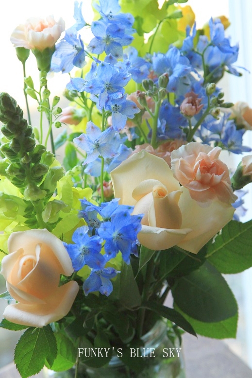 c0145250_1718292.jpg