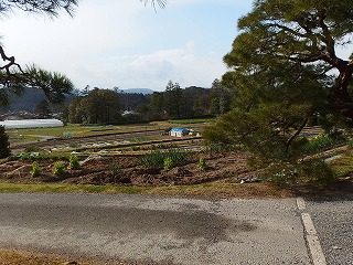 e0004756_202277.jpg