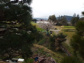 e0004756_203240.jpg