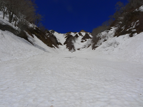 d0007657_16139100.jpg