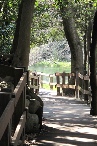e0201060_10312166.jpg