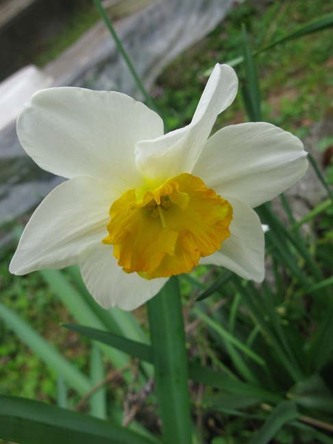 a0052762_1721417.jpg