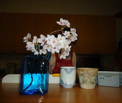 e0002466_2005831.jpg
