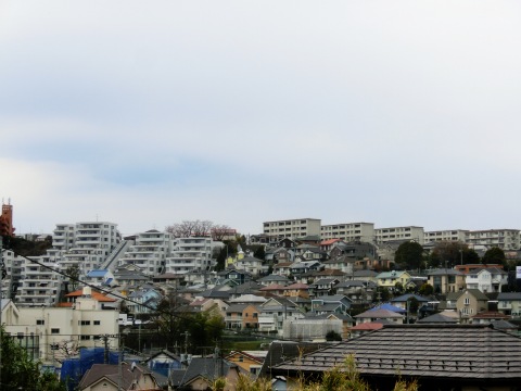 e0045768_22505185.jpg