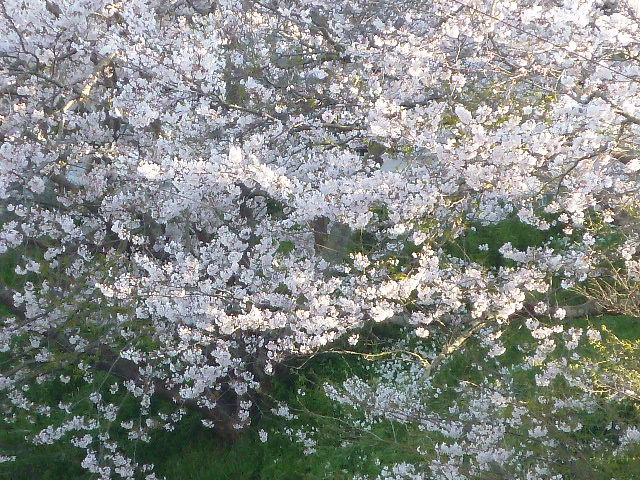 e0278968_21045346.jpg