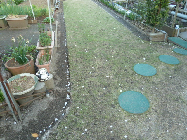 e0278968_21270330.jpg