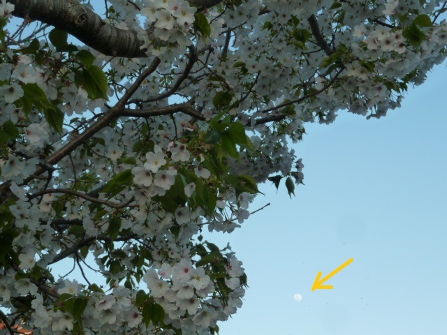 e0278968_21322736.jpg