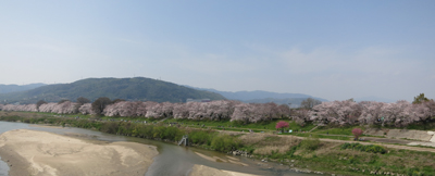 c0117570_16244652.jpg