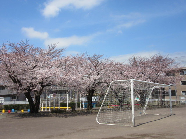 d0109373_1755368.jpg