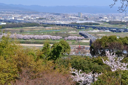 d0163073_20393284.jpg