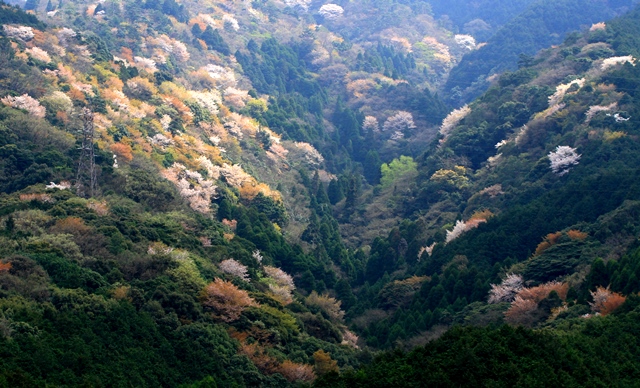 d0126577_2237315.jpg