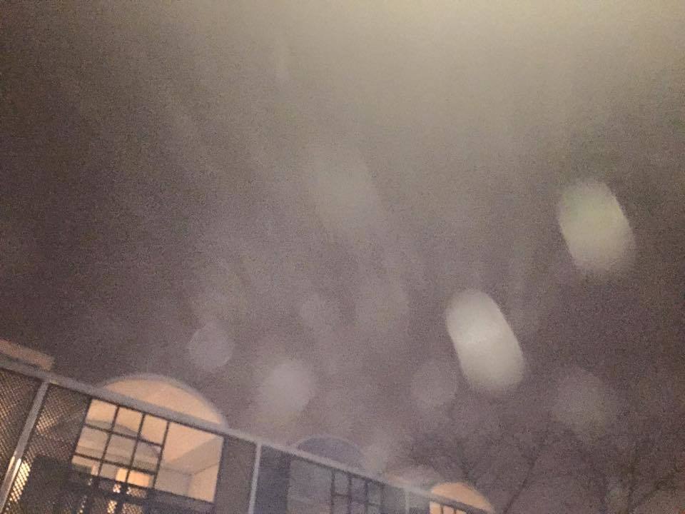 c0253780_17543074.jpg