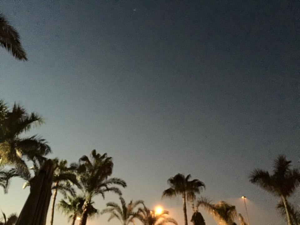 c0253780_17551560.jpg