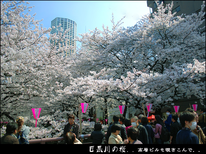c0009981_15464296.jpg