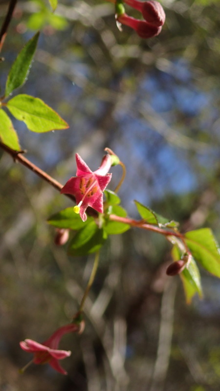 e0024081_15433709.jpg