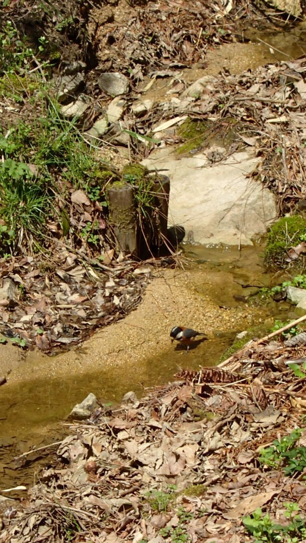 e0024081_15493256.jpg