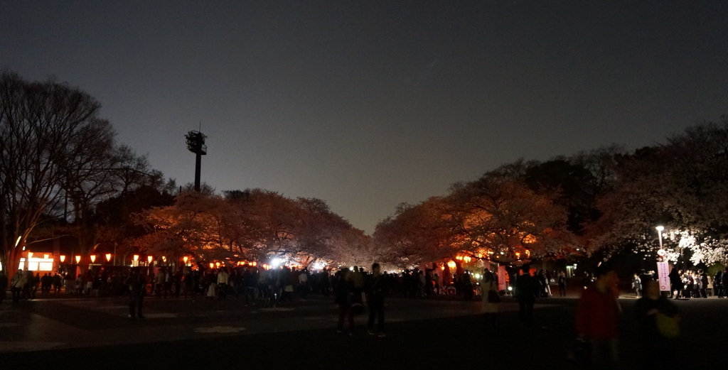 c0180686_00594916.jpg