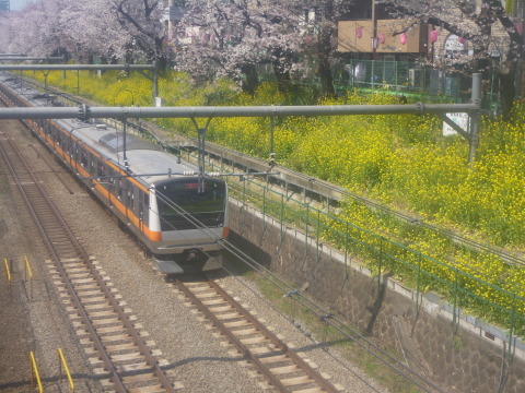c0310987_17352195.jpg