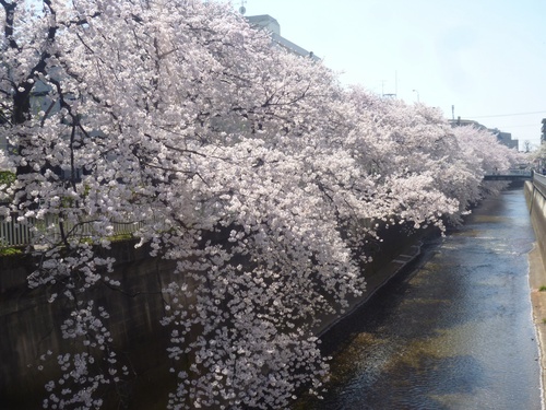 c0123890_20121819.jpg
