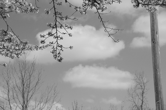 c0139591_16394756.jpg