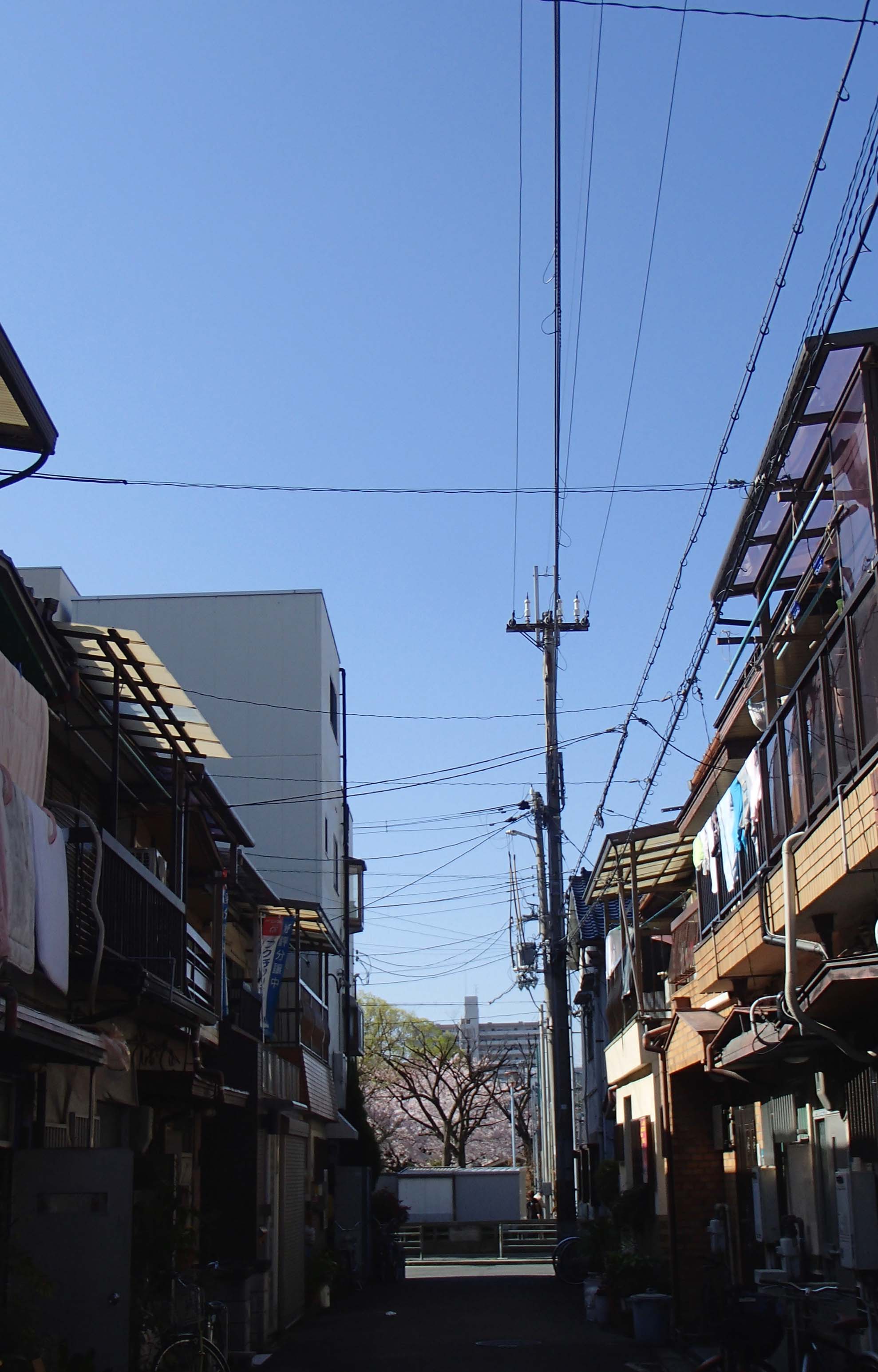c0015099_954981.jpg
