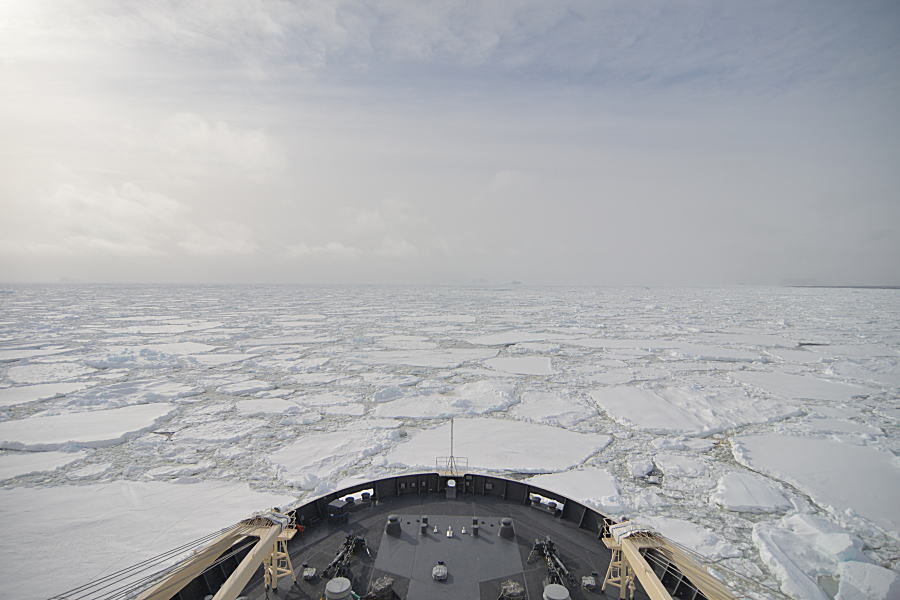 c0193901_1851544.jpg