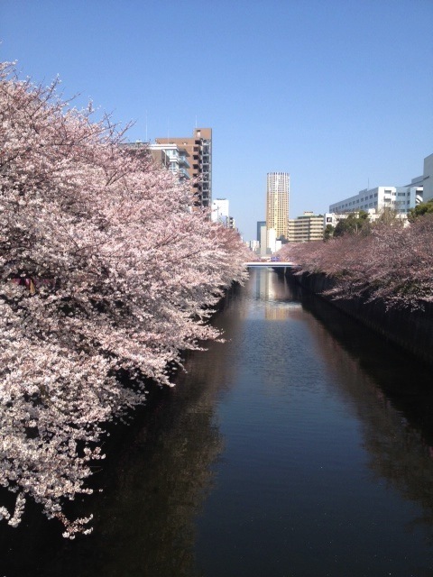 c0321302_12162930.jpg
