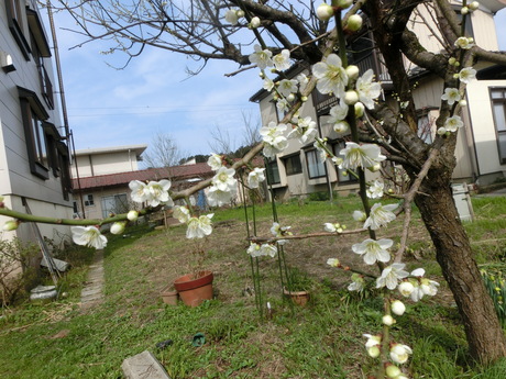 a0203003_10473562.jpg
