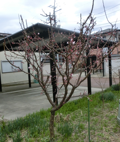 a0203003_1048847.jpg