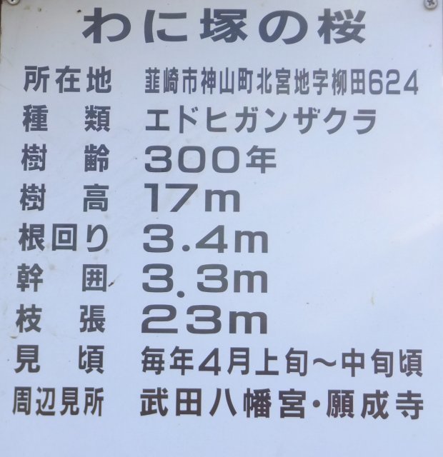 a0188405_22292600.jpg