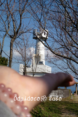 b0238306_114786.jpg
