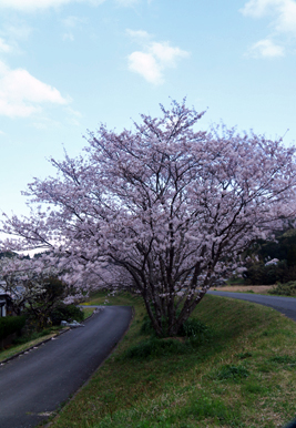 b0014607_1816588.jpg