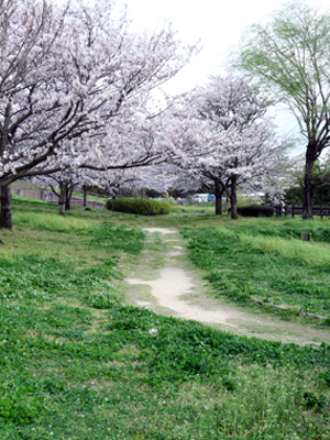 b0014607_181736100.jpg