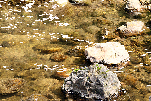 b0014607_18214521.jpg