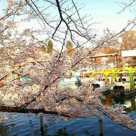 a0183009_1385972.jpg