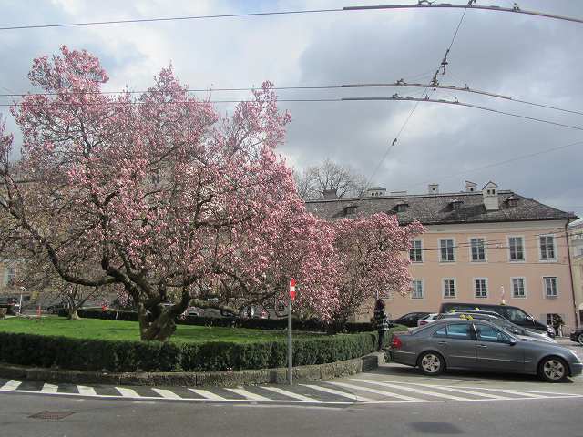c0167813_5594147.jpg