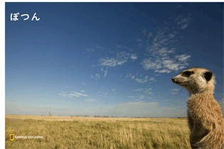 b0150018_20445897.gif