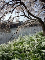 b0191418_15562840.jpg