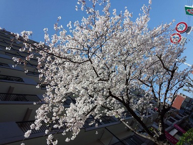 b0191418_1557127.jpg