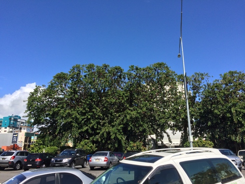 e0049318_3262472.jpg