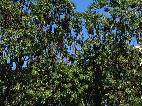 e0049318_329632.jpg