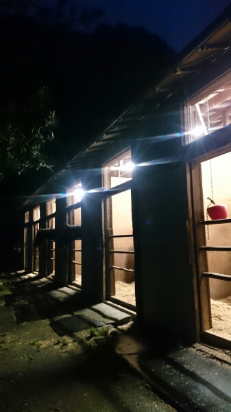 b0187620_21103427.jpg
