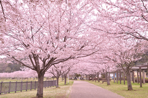 e0312121_2225312.gif